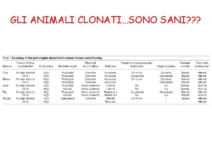 GLI ANIMALI CLONATI…SONO SANI? ? ? 