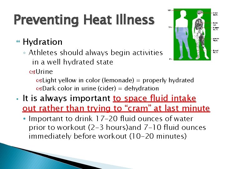 Preventing Heat Illness Hydration ◦ Athletes should always begin activities in a well hydrated Preventing Heat Illness Hydration ◦ Athletes should always begin activities in a well hydrated