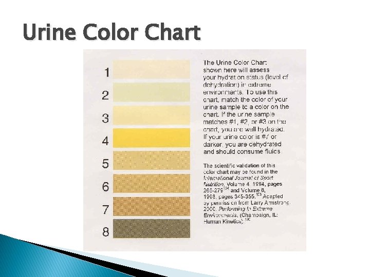 Urine Color Chart Urine Color Chart