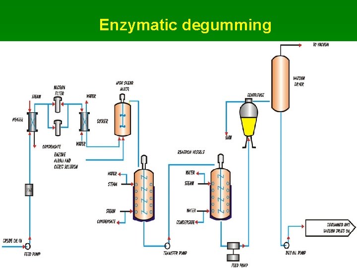 Enzymatic degumming 