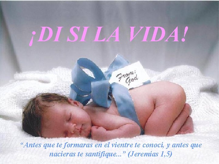 ¡DI SI LA VIDA! “Antes que te formaras en el vientre te conoci, y ¡DI SI LA VIDA! “Antes que te formaras en el vientre te conoci, y