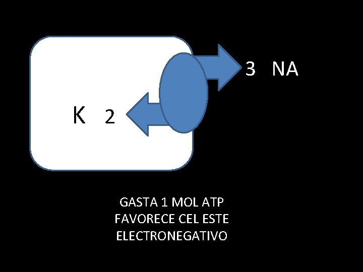 3 NA K 2 GASTA 1 MOL ATP FAVORECE CEL ESTE ELECTRONEGATIVO 