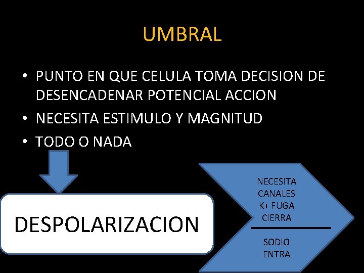 UMBRAL • PUNTO EN QUE CELULA TOMA DECISION DE DESENCADENAR POTENCIAL ACCION • NECESITA