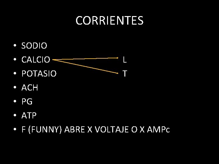 CORRIENTES • • SODIO CALCIO L POTASIO T ACH PG ATP F (FUNNY) ABRE