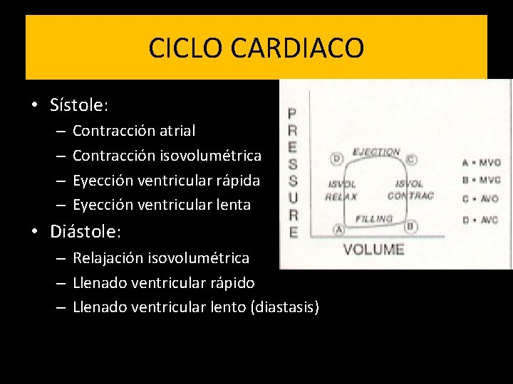 CICLO CARDIACO • Sístole: – – Contracción atrial Contracción isovolumétrica Eyección ventricular rápida Eyección