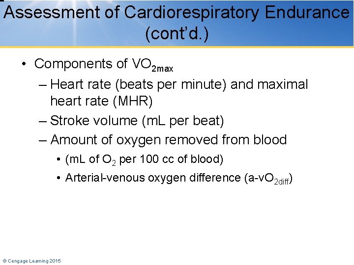 Assessment of Cardiorespiratory Endurance (cont’d. ) • Components of VO 2 max – Heart