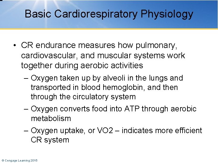 Basic Cardiorespiratory Physiology • CR endurance measures how pulmonary, cardiovascular, and muscular systems work