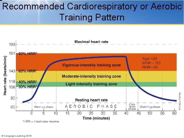 Recommended Cardiorespiratory or Aerobic Training Pattern © Cengage Learning 2015 