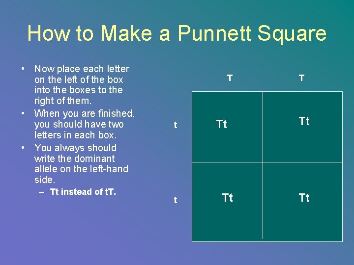 How to Make a Punnett Square • Now place each letter on the left