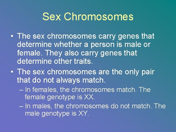 Sex Chromosomes • The sex chromosomes carry genes that determine whether a person is