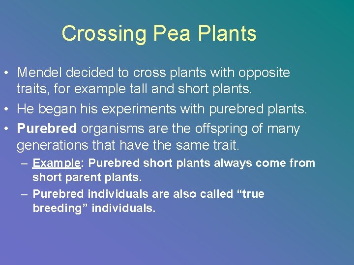 Crossing Pea Plants • Mendel decided to cross plants with opposite traits, for example
