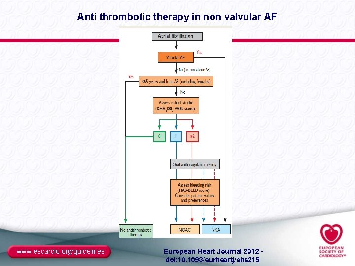 Anti thrombotic therapy in non valvular AF www. escardio. org/guidelines European Heart Journal 2012