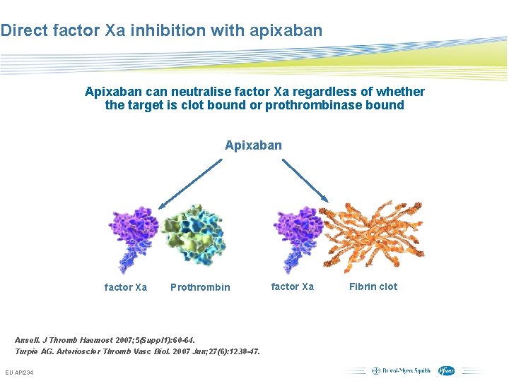 Direct factor Xa inhibition with apixaban Apixaban can neutralise factor Xa regardless of whether