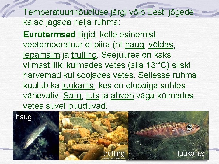 Temperatuurinõudluse järgi võib Eesti jõgede kalad jagada nelja rühma: Eurütermsed liigid, kelle esinemist veetemperatuur