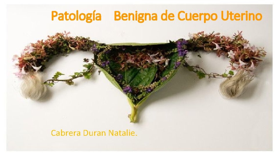 Patología Benigna de Cuerpo Uterino Cabrera Duran Natalie. 