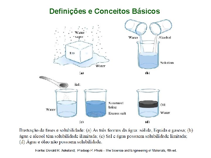 Definições e Conceitos Básicos 