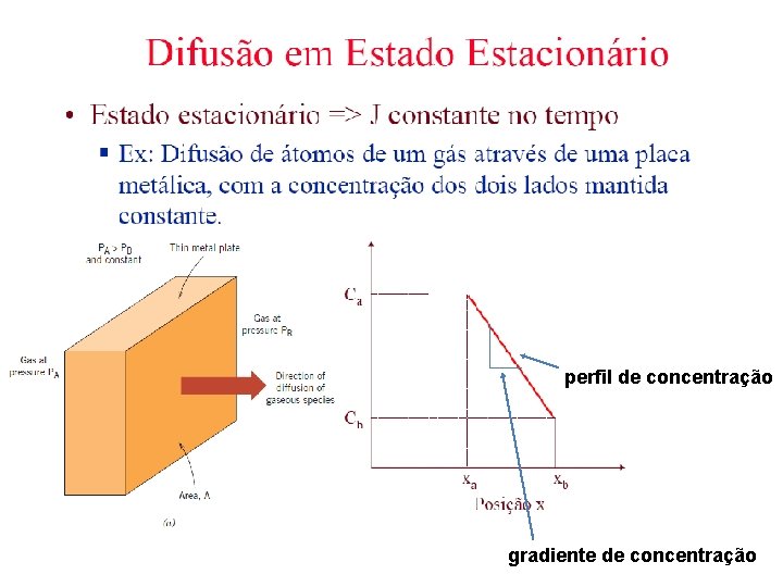 perfil de concentração gradiente de concentração 