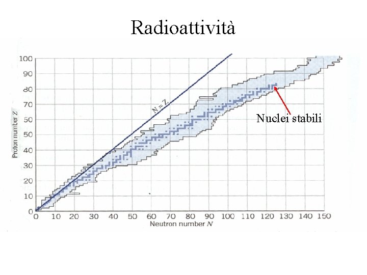 Radioattività Nuclei stabili 