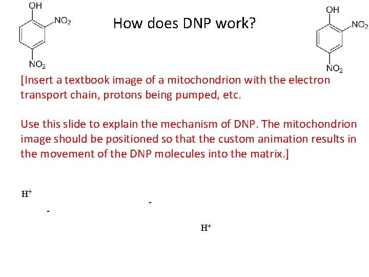 How does DNP work? [Insert a textbook image of a mitochondrion with the electron How does DNP work? [Insert a textbook image of a mitochondrion with the electron