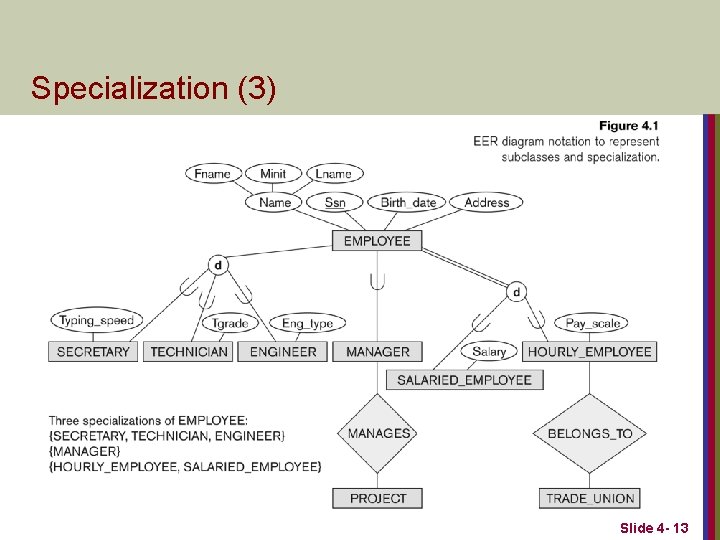 Specialization (3) Slide 4 - 13 