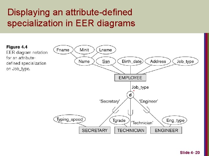 Displaying an attribute-defined specialization in EER diagrams Slide 4 - 20 