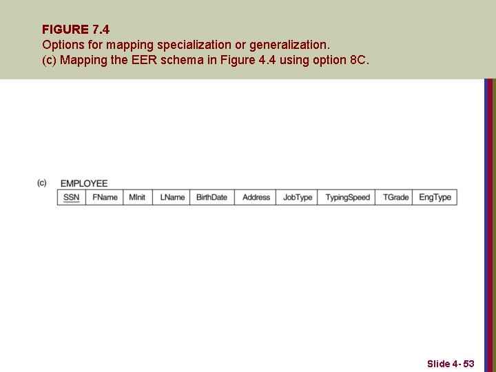 FIGURE 7. 4 Options for mapping specialization or generalization. (c) Mapping the EER schema