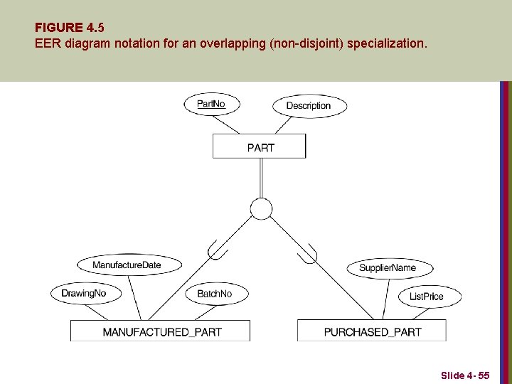 FIGURE 4. 5 EER diagram notation for an overlapping (non-disjoint) specialization. Slide 4 -