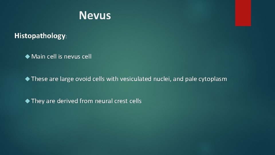 Nevus Histopathology: Main cell is nevus cell These are large ovoid cells with vesiculated Nevus Histopathology: Main cell is nevus cell These are large ovoid cells with vesiculated