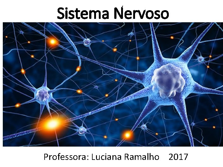 Sistema Nervoso Professora: Luciana Ramalho 2017 