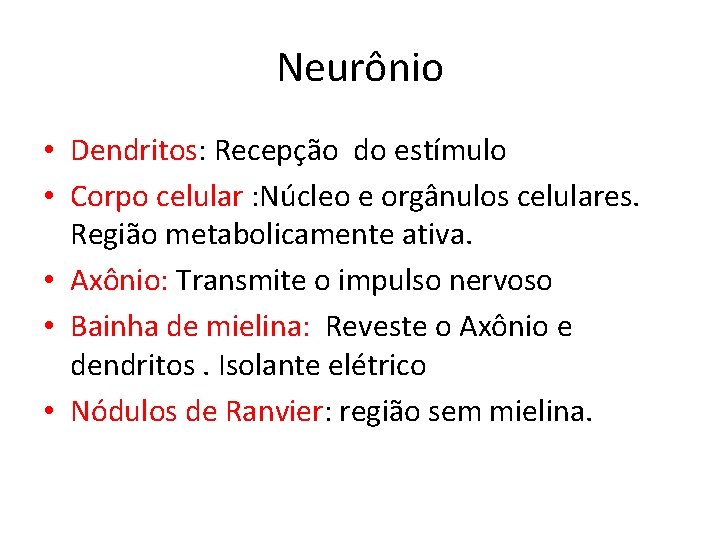Neurônio • Dendritos: Recepção do estímulo • Corpo celular : Núcleo e orgânulos celulares.