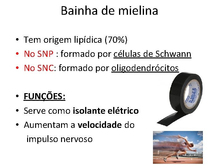 Bainha de mielina • Tem origem lipídica (70%) • No SNP : formado por