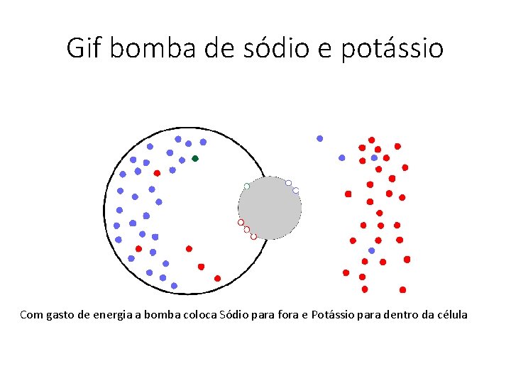 Gif bomba de sódio e potássio Com gasto de energia a bomba coloca Sódio