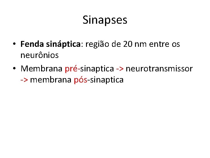 Sinapses • Fenda sináptica: região de 20 nm entre os neurônios • Membrana pré-sinaptica