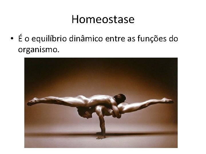 Homeostase • É o equilíbrio dinâmico entre as funções do organismo. 