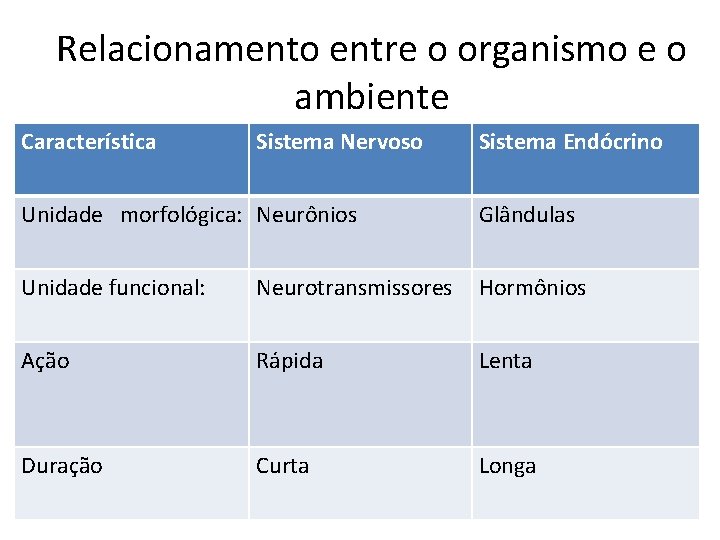 Relacionamento entre o organismo e o ambiente Característica Sistema Nervoso Sistema Endócrino Unidade morfológica: