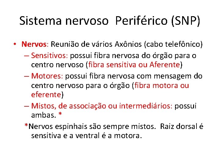 Sistema nervoso Periférico (SNP) • Nervos: Reunião de vários Axônios (cabo telefônico) – Sensitivos: