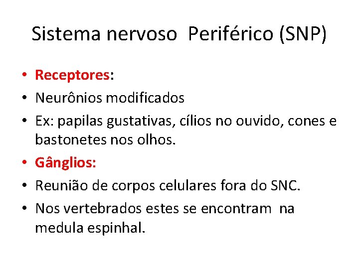 Sistema nervoso Periférico (SNP) • Receptores: • Neurônios modificados • Ex: papilas gustativas, cílios