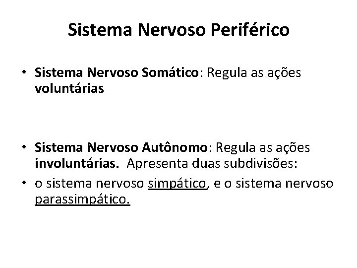 Sistema Nervoso Periférico • Sistema Nervoso Somático: Regula as ações voluntárias • Sistema Nervoso