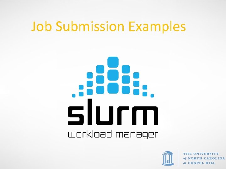 Job Submission Examples 