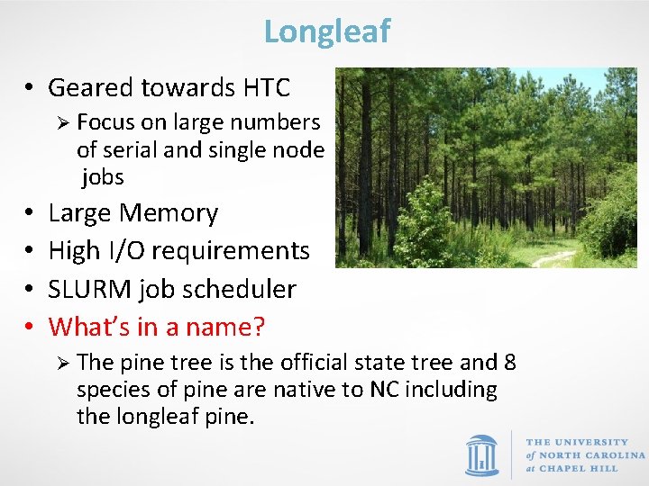Longleaf • Geared towards HTC Ø Focus on large numbers of serial and single