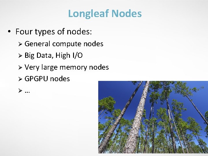 Longleaf Nodes • Four types of nodes: Ø General compute nodes Ø Big Data,