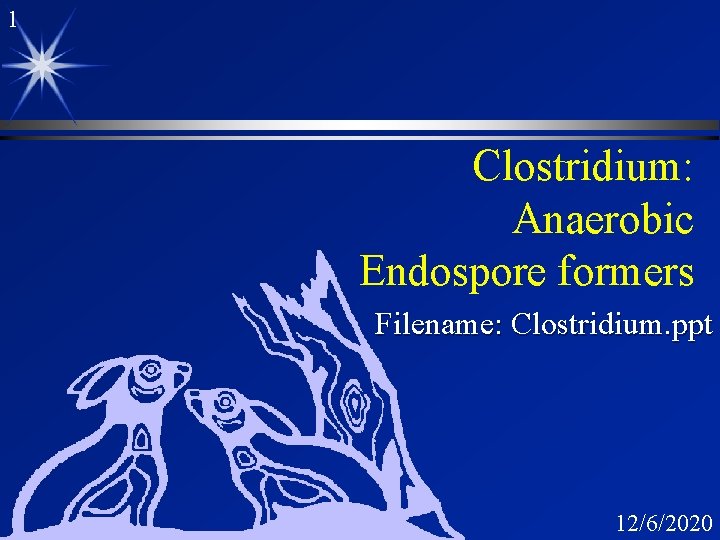 1 Clostridium: Anaerobic Endospore formers Filename: Clostridium. ppt 12/6/2020 