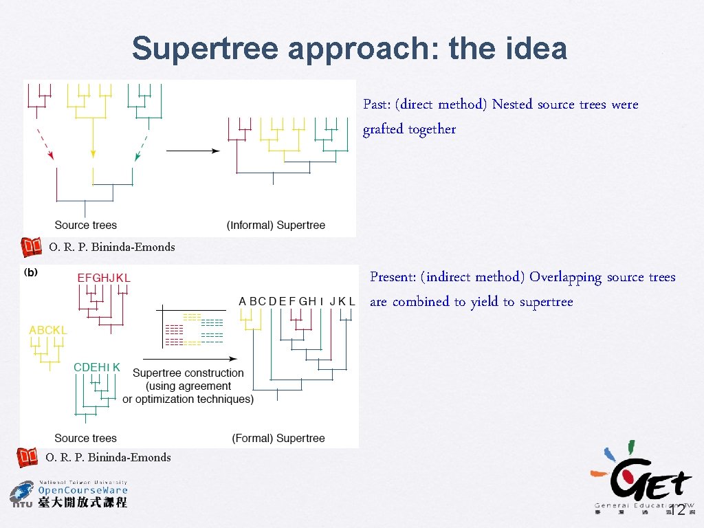 Supertree approach: the idea Past: (direct method) Nested source trees were grafted together O.