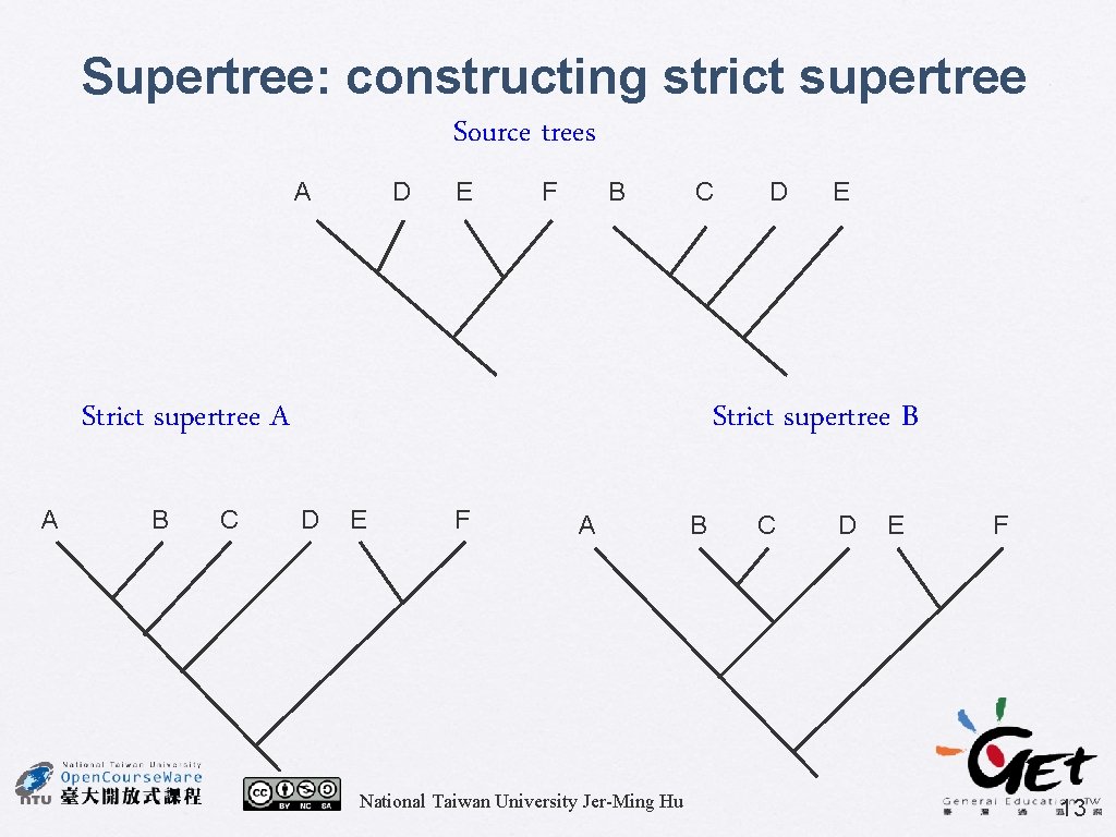 Supertree: constructing strict supertree Source trees A D E F B C Strict supertree