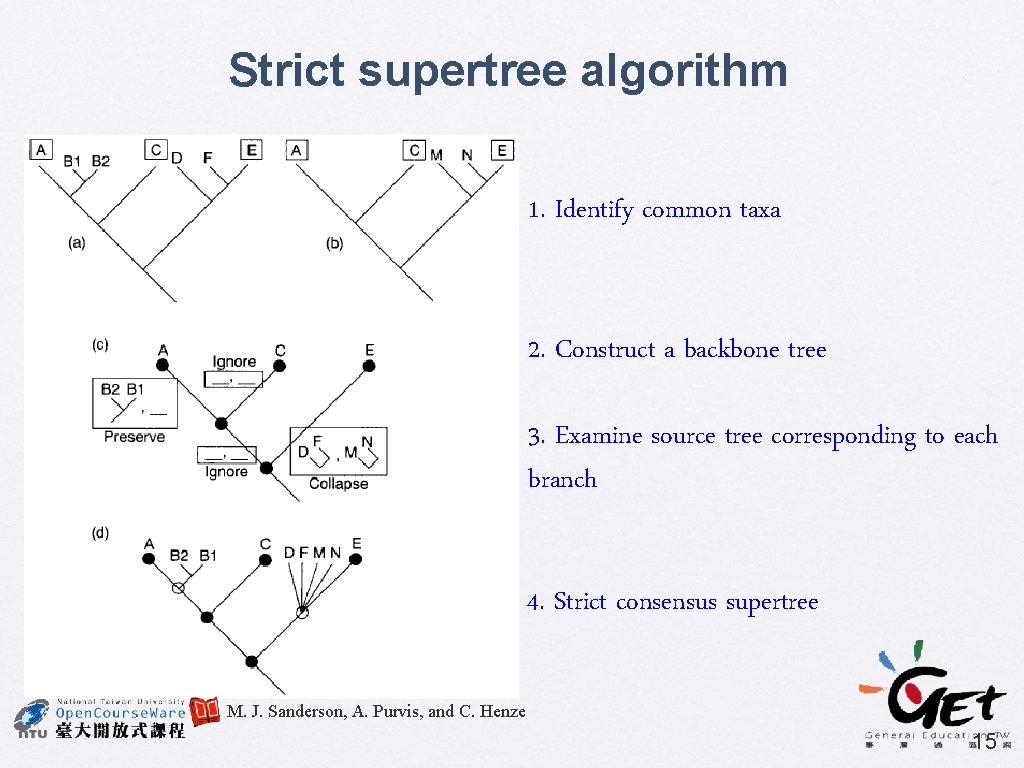 Strict supertree algorithm 1. Identify common taxa 2. Construct a backbone tree 3. Examine