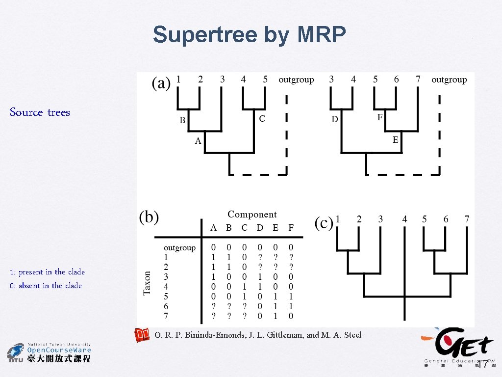 Supertree by MRP Source trees 1: present in the clade 0: absent in the