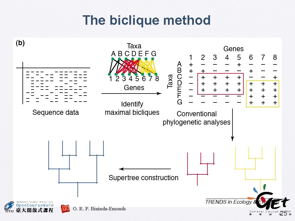 The biclique method O. R. P. Bininda-Emonds 25 