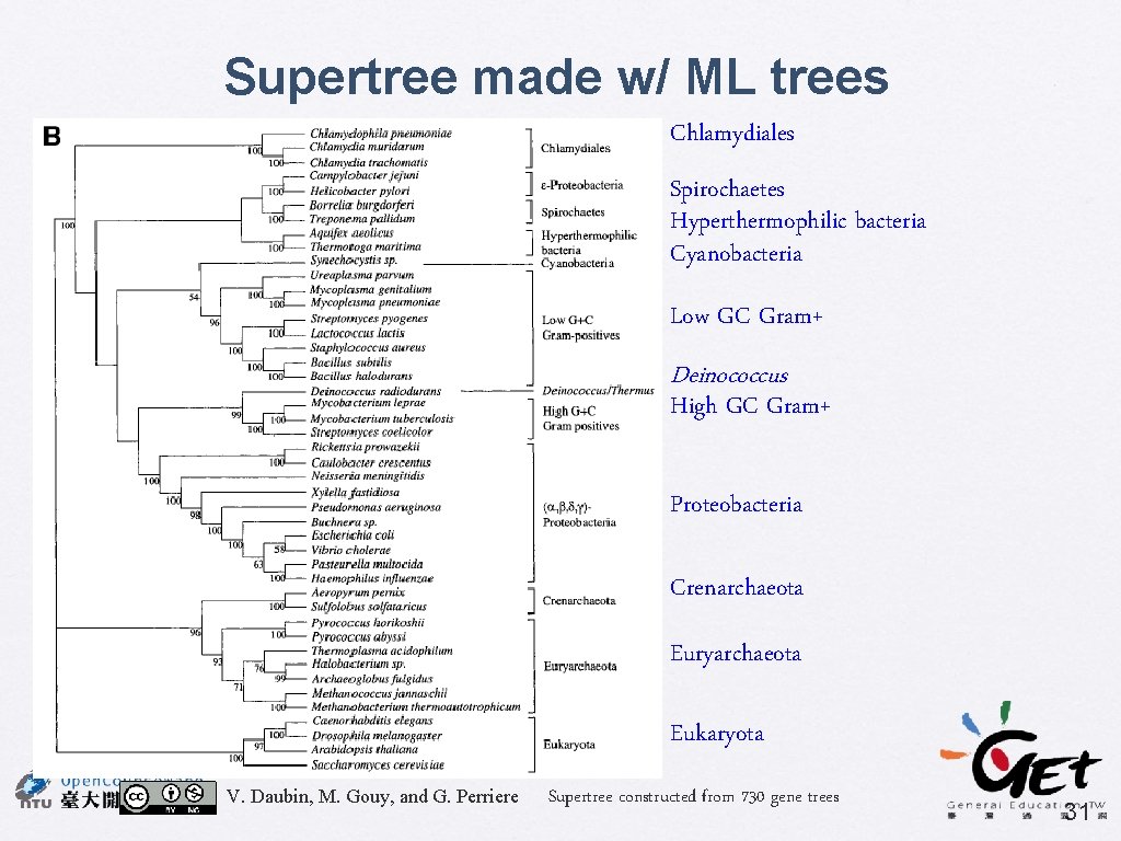 Supertree made w/ ML trees Chlamydiales Spirochaetes Hyperthermophilic bacteria Cyanobacteria Low GC Gram+ Deinococcus