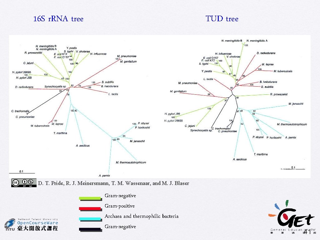 16 S r. RNA tree TUD tree D. T. Pride, R. J. Meinersmann, T.