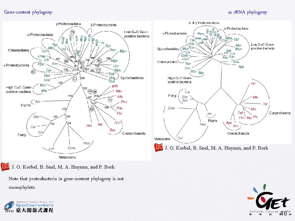 Gene-content phylogeny ss r. RNA phylogeny J. O. Korbel, B. Snel, M. A. Huynen,